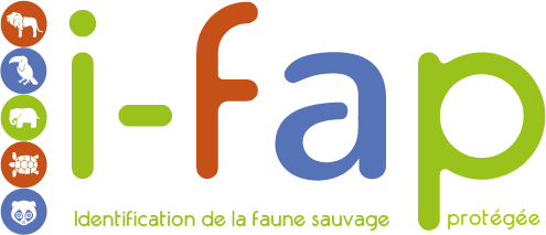 I-fap : Identification de la faune sauvage protégée